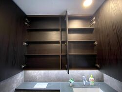 Kopar At Newton (D9), Apartment #507756281